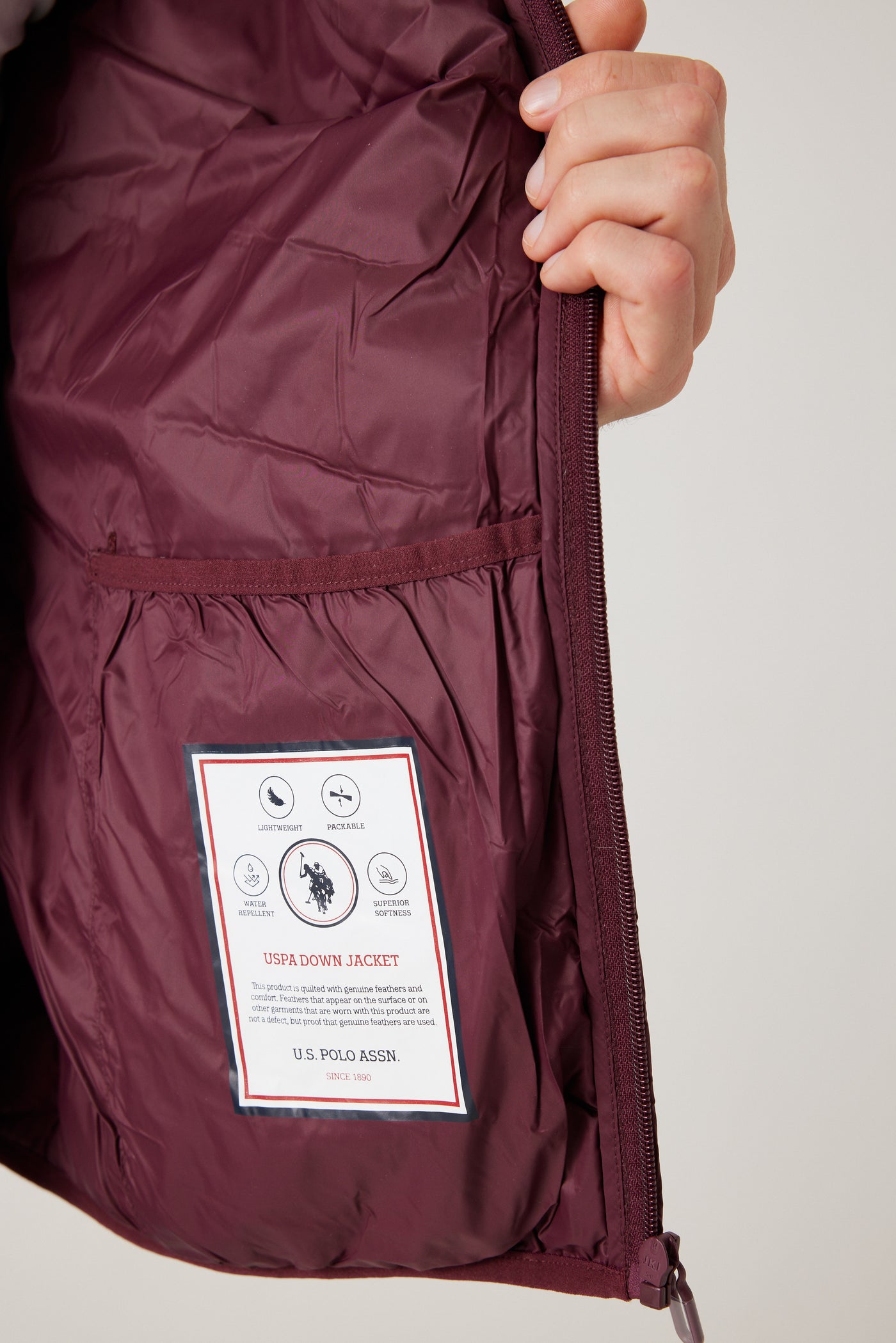 ווסט קלאסי  - בורדו